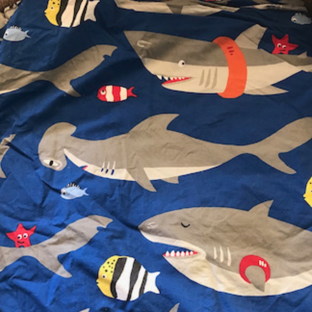 PB Kids Shark Duvet Cover *only*